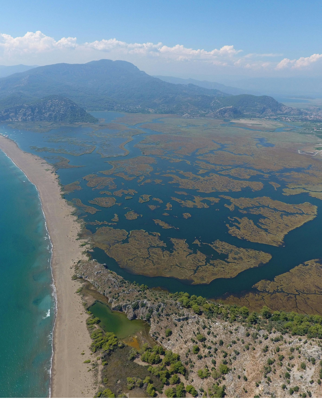 Dalyan - Doğa, Tarih Turu