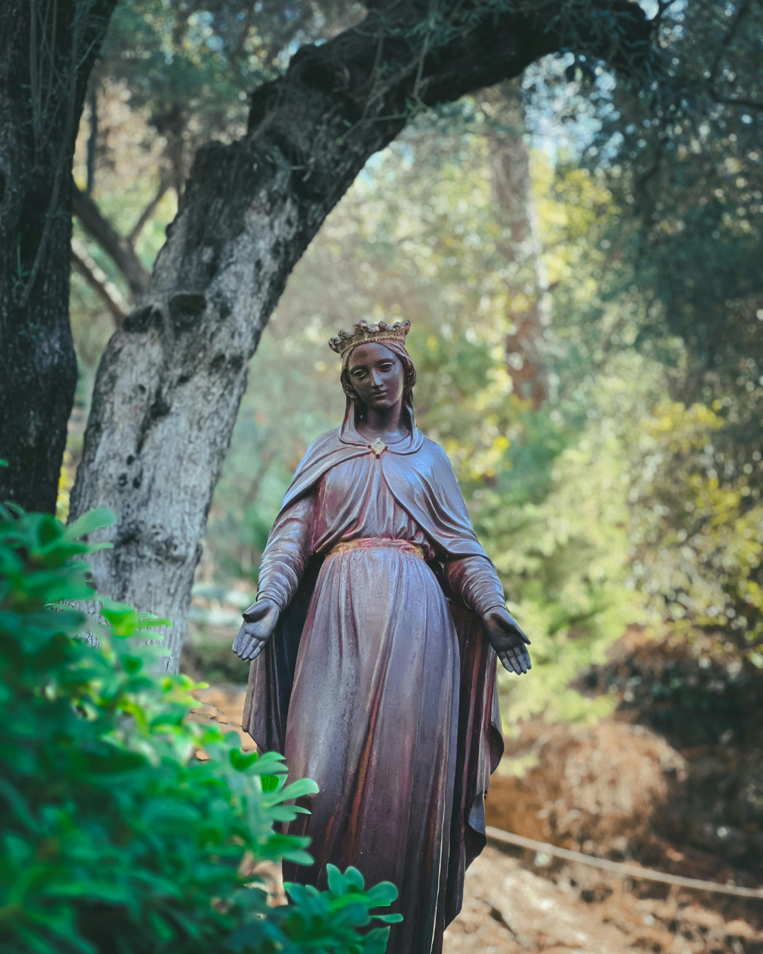 Efes Turu - Tarihe Bir Youlculuk