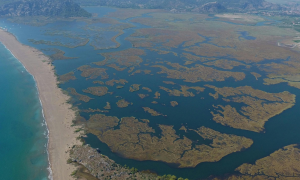 Dalyan - Doğa, Tarih Turu
